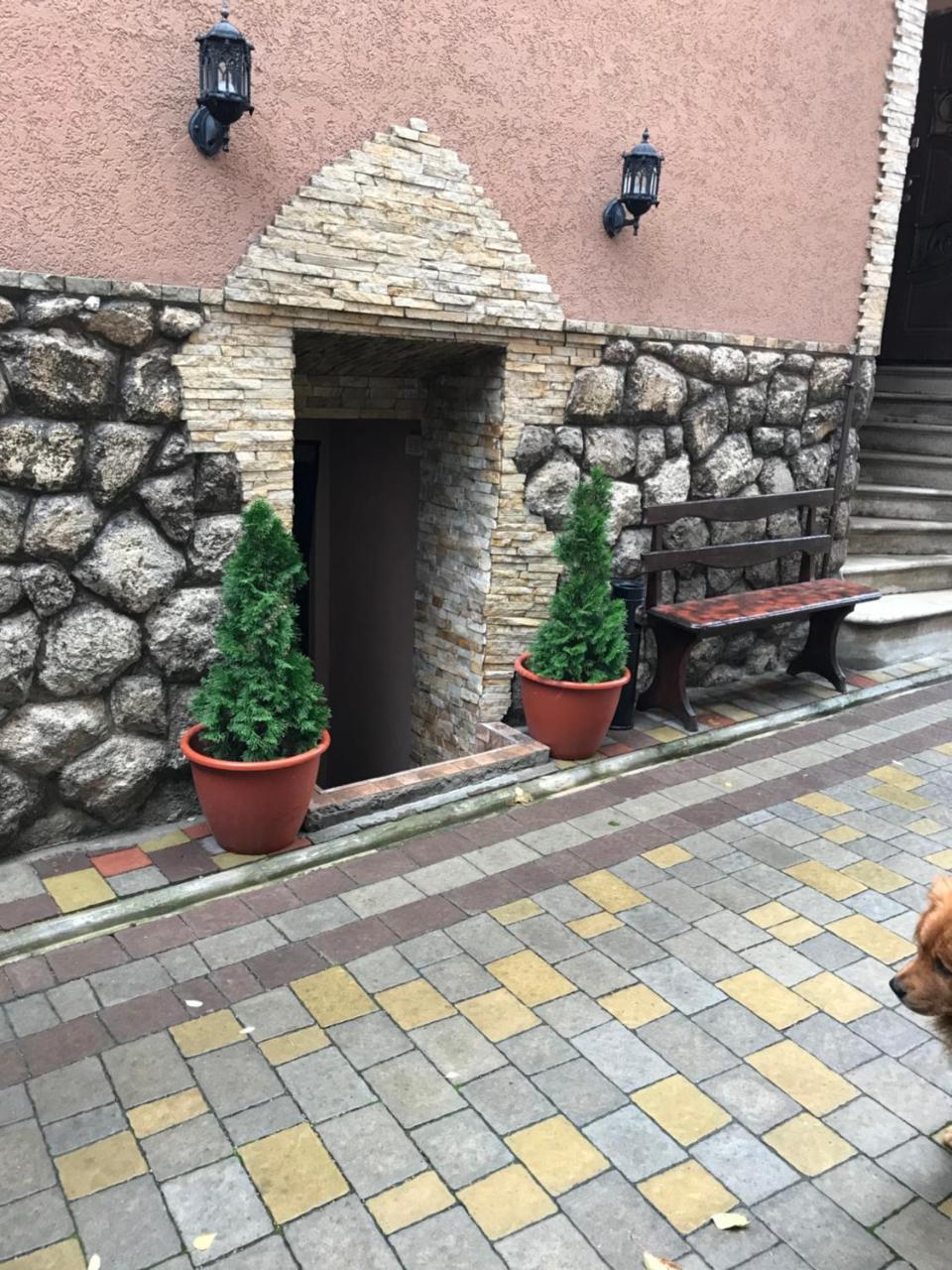 Guest House Zhanna Berehove  Dış mekan fotoğraf