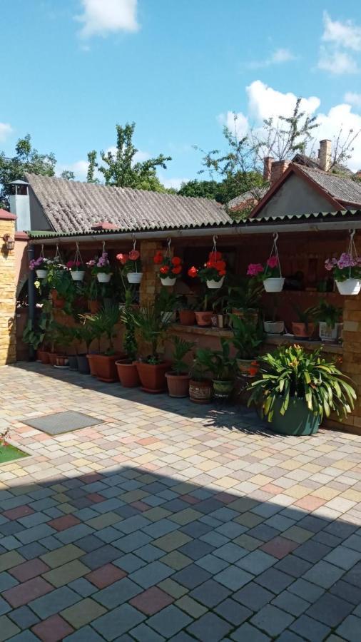 Guest House Zhanna Berehove  Dış mekan fotoğraf